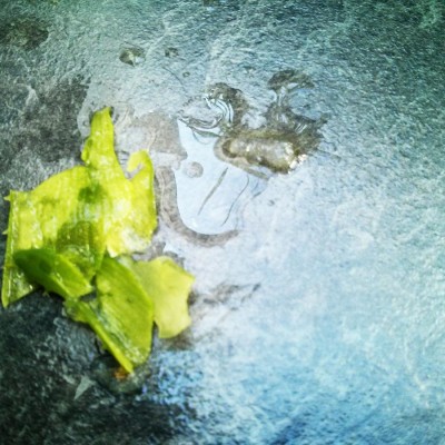 Gleitgel selber herstellen aus Aloe Vera Schalen mit Kartoffelschäler